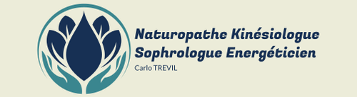 NATUROPATHE SOPHROLOGUE KINESIOLOGUE  ENERGETICIEN A PONTAULT-COMBAULT